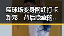 篮球场变身网红打卡新宠，背后隐藏的秘密你知道吗？🏀✨