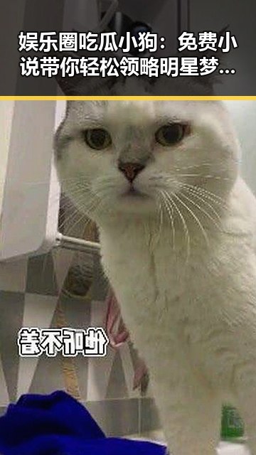 娱乐圈吃瓜小狗:免费小说带你轻松领略明星梦与现实