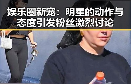 娱乐圈新宠：明星的动作与态度引发粉丝激烈讨论