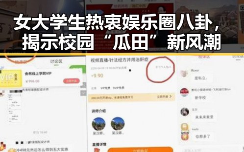 女大学生热衷娱乐圈八卦，揭示校园“瓜田”新风潮
