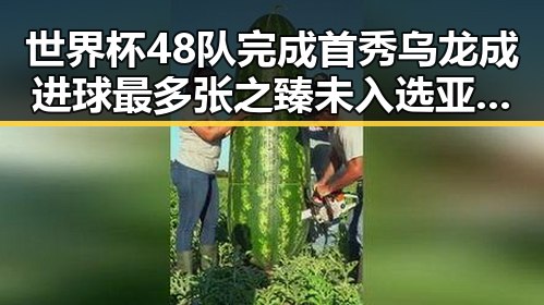 世界杯48队完成首秀乌龙成进球最多 张之臻未入选亚运引关注